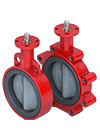 Resilient Seated Butterfly Valve Series 30-31 Thumbnail